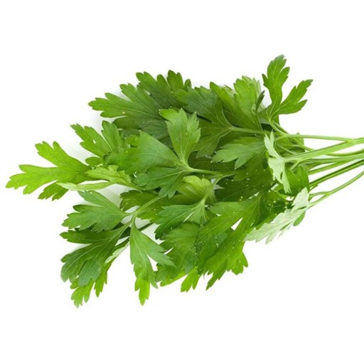  عکس جعفری